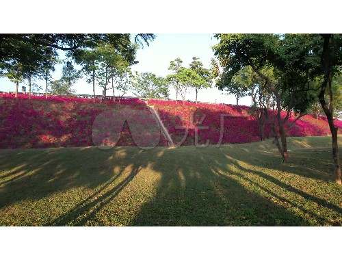 博鱼boyu登录入口：雅安小区绿化工程