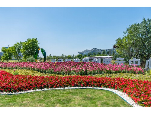 博鱼boyu登录入口：校园绿化工程业务咨询方案